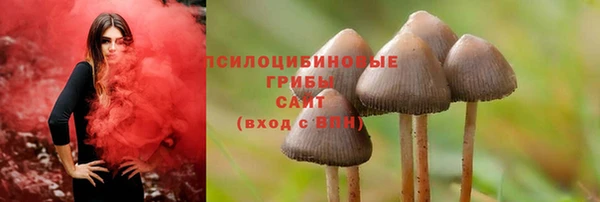 спайс Верея