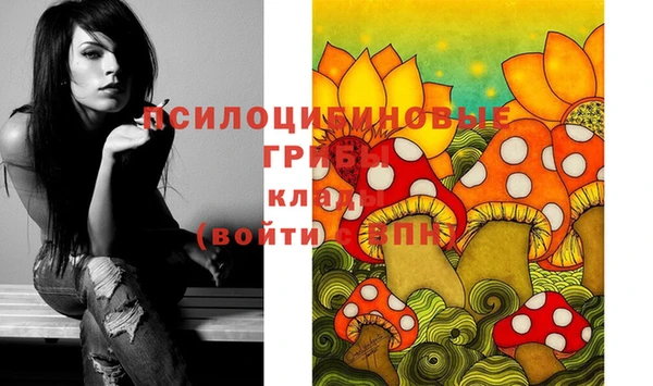 кокаин Бородино