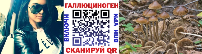 ссылка на мегу онион  Дмитриев  нарко площадка состав  Псилоцибиновые грибы Magic Shrooms 